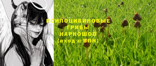 mix Медногорск